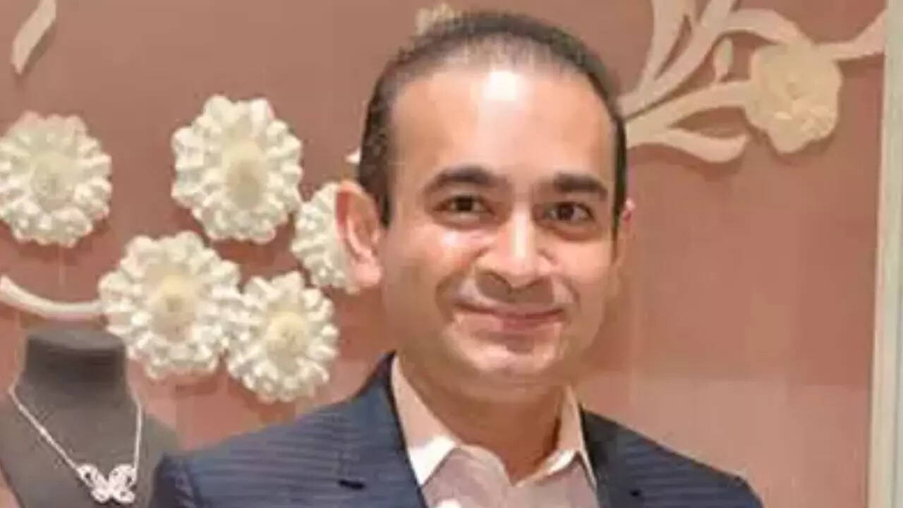 Nirav Modi's Fortune: Beyond Diamonds and the PNB Scandal